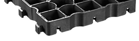 Ecoraster grasdal